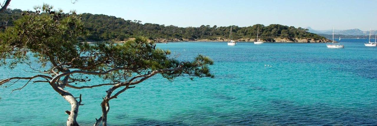 Spacieux Sur Le Port De *